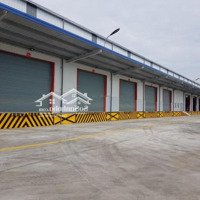 Kho Xưởng Kcn Yên Phong 2. Mới 100%, 2000M2 Đến 60.000M2, Fdi/Epe, Miễn Giảm Thuế, 80Nghìn/M2 /Th