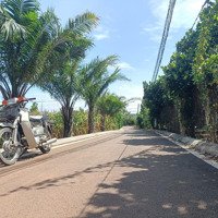 Đất Bán Hàng Hot Tại Xã Xuân Mỹ, Giá Ưu Đãi 530 Triệu Vnd, Diện Tích 120.8M2