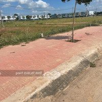 Đất Khu Dân Cư Giá Chỉ 320 Triệu/100M2 Ngay Đường Hai Bà Trưng P2 Gò Công Gần Chợ Long Thuận Đất Sổ Sãn