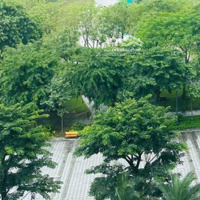 Bán Căn Hộ 3 Phòng Ngủcó Thang Máy Riêng Ecopark Toà Cao Cấp Park Premium