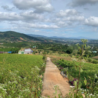 Bán Đất View Săn Mây. Thuộc Khu Vực Sáp Nhập Đà Lạt. Đường Nhựa, Bê Tông 7M. 5.000M2/4Tỷ. Có Bán Lẻ