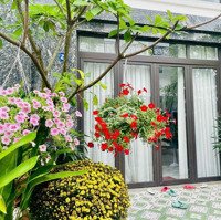 Tài Chính 4,9 Tỷ Nhà 50M2 Đường Nhựa 8 Mét, Ngang 4,5M, Khu An Ninh Dân Trí