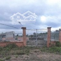 Ra Nhanh Mảnh Đầu Tư Cực Đẹp. Tt Tp Pleiku Giá Chỉ 85 Triệu/M Ngang