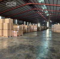 Cho Thuê Kho Tại Thuận An - Bình Dương. Cho Thuê Kho Tiêu Chuẩn Logistics Giá Rẻ Nhất