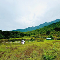 Bán 65000M2 (6, 5Ha) Đất Yên Bình, Tiến Xuân Thạch Thất Hà Nội Giá Hơn 10 Tỷ.