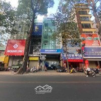 Siêu Phẩm Hotel Bán Mặt Tiền Lý Tự Trọng, Quận 1. Dt: 8X20M. Kc 1 Hầm 10 Tầng. 500 Triệu/Th 150 Tỷ