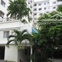 Cho Thuê Căn Hộ Penthouse Hưng Vượng 2, Phú Mỹ Hưng Quận 7 Thiết Kế 3 Phòng Ngủgiá Bán 18 Triệu