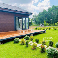 Chính Chủ Chuyển Nhượng Nhà Vườn 300M2