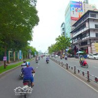 Tìm Kiếm Tòa Nhà 2 Thang Máy, 2 Thang Bộ, 3 Hầm Ở Đâu Xa. Tọa Lạc Ngay Nguyễn Thị Minh Khai Q. 1