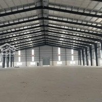 Cho Thuê Kho Xưởng 10.000M2 (Xd: 7000M2) Ccn Lợi Bình Nhơn. Xây Mới 100%, Pccc Tự Động, Trạm Hạ Thế