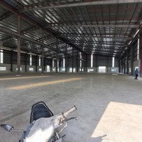 Cho Thuê Kho Xưởng 5000M2 (Xd: 3000M2) Gần Kcn Tân Đức Mới. Kho Xây Mới 100%, Pccc Tự Động