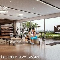 Suất Nội Bộ Celadon City, Chiết Khấu 27%, Ân Hạn Gốc Lãi 24 Tháng, Cam Kết Thuê Lại Lợi Nhuận 24%