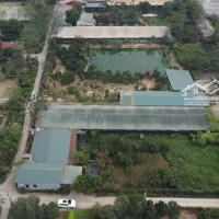 Hơn 2000M2 Đất Trang Trại Cấn Hữu, Quốc Oai. Sẵn Nhà Khang Trang, Điện Nước,Cho Thuêphụ, Vườn Chuồng