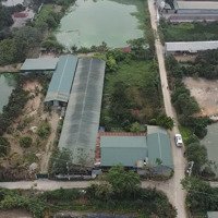 Hơn 2000M2 Đất Trang Trại Cấn Hữu, Quốc Oai. Sẵn Nhà Khang Trang, Điện Nước,Cho Thuêphụ, Vườn Chuồng