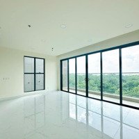 Mở Bán Diamond Centery - Rỗ Hàng Đầy Đủ Tất Cả Các Khu Celadon City. Mua Trực Tiếp Cđt Gamuda Land