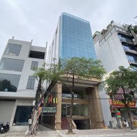 Cho Thuê Nhà Tại Khu Đấu Giá Yên Xá . Diện Tích: 250 M * 8 Tầng + 1 Hầm.mặt Tiền: 12M.thông Sàn, Thang Máy.