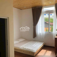 Cho Thuê Homestay Sân Vườn Hùng Vương P10 Đà Lạt - 50 Triệu