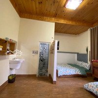 Cho Thuê Homestay Sân Vườn Hùng Vương P10 Đà Lạt - 50 Triệu