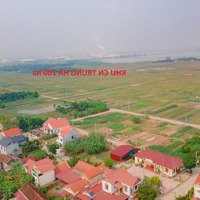 Đất Đấu Giá Full Thổ Cư, Cạnh Khu Công Nghiệp Trung Hà 200 Ha