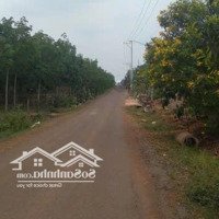 Ngộp Ngân Hàng Bán Đất Làm Vườn 3921M2, Chỉ 580 Triệu, Đất Phủ Hồng, Dân Cư Hiện Hữu, Tl758 Đi 2P