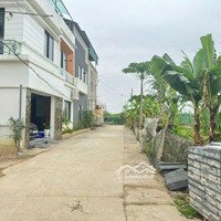 Bán Đất Tại Xã Nguyên Khê, Đông Anh, Hà Nội, Giá Bán 3,870 Tỷ, 48M2