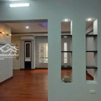 Bán Nhà Mp Hào Nam, Nội Thất Lung Linh, 50M2, 33 Tỷ.