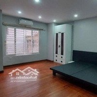 Bán Nhà Mp Hào Nam, Nội Thất Lung Linh, 50M2, 33 Tỷ.