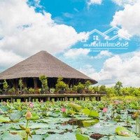 Bán Gấp Nền Đất Khu F, Giá: 850 Triệu, Diện Tích: 125M2,Nở Hậu, View Hồ Trung Tâm Làng Sen Việt Nam