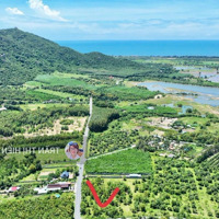 Trục Chính Phước Hưng Phước Hải- Đi Biển, Cách Lan Rừng Resort Chỉ 2Km
 Diện Tích: 1000M2 Sẵn 100M2