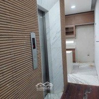 Bán Nhà Mp Trần Quang Diệu, Đống Đa 60M2X7T Thang Máy. Mặt Phố Kinh Doanh. Giá Nhỉnh 30 Tỷ