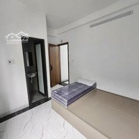 Cho Thuê Cc Mini 1 Phòng Ngủ 1Vs, 22M2 Ở Láng Hạ Gần Phố Huỳnh Thúc Kháng, Nguyễn Chí Thanh, Nguyên Hồng