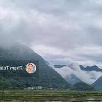 Chuyển Nhượng Lô Đất Mặt Đường Ql6 , Lương Sơn, Hoà Bìnhdiện Tích15.279M2,Mặt Tiền 400M
 Giá Bán 196 Tỷ