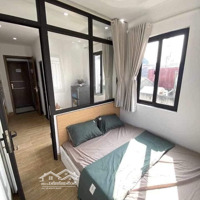 Sát Phố Trần Thái Tông, Ngõ Thông, 5 Tầng, 9 Phòng, Mặt Tiền 5M, 48M2, 8.X Tỷ