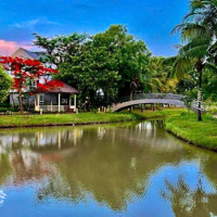 Chính Chủ Gửi Bán Nhanh Nhanh Nhà Park Riverside 5X16,5M2. Nội Thất Cơ Bản, Giá 9 Tỉ, Sổ Hồng