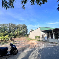 900M2 Đất Bình Dương, Mặt Tiền Đường Nhựa 10M, Sổ Hồng Sẵn, Có Tl