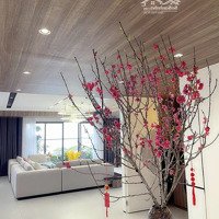 Gia Đình Chuyển Xuống Thấp Tầng Nên Bán Căn Hộ Penthouse Tại Khu Vực Ngoại Giao Đoàn