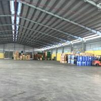 Cho thuê kho xưởng, diện tích 1500m2, kho chung, kho riêng