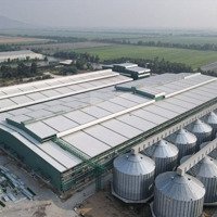 Chuyển Nhượng Nhà Máy Sản Xuất Và Chế Biến Gạo Công Suất 3000T/Ngày Tại An Giang