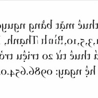 Cần Cho Thuê Nhà Nguyên Căn Đường Quang Trung Khu Sung Túc Nhất