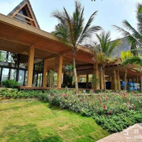 Chính Chủ Gửi Bán Biệt Thự Đảo Ecopark 300M2 Hướng Cửa Đông Nam , Giá Tốt Nhất Thị Trường