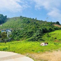 Cần Bán Gấp Lô Đấtdiện Tích4400M Trong Đó Có 400M Thổ Cư Tại Thôn 2, Xã Tiến Xuân, Thạch Thất, Hn.