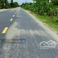 Ngộp Quá Rồi! Mặt Tiền Đt 833, 288M2 Mặt Nhựa, Trung Tâm Nhựt Ninh, Tân Trụ