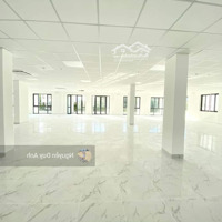 Mặt Tiền Cộng Hòa 4500M2 Trung Tâm Tân Bình Phù Hợp Showroom Oto - Nội Thất