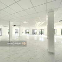 Mặt Tiền Cộng Hòa 4500M2 Trung Tâm Tân Bình Phù Hợp Showroom Oto - Nội Thất