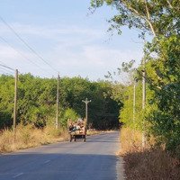 Cần Bán Gấp 5.5Ha Đất, Chiết Khấu Sâu, Giá Rẻ Nhất Khu Vực