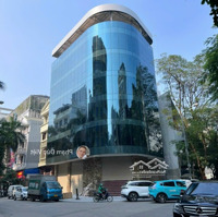Bán Khách Sạn Cho Thuê Khoán 100 Triệu Mặt Tiền Hoàng Văn Thụ Tân Bình Dt: 4,5X25M. Cn 87M2 Giá: 29 Tỷ