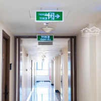 Cần Ra Căn Ct2 Phước Long , Mới Bàn Giao, Gần 72M2, Hướng Đông Nam, Tầng Cao , Liên Hệ: 0905166122