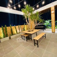 Cho Thuê Duplex Giá Đẹp Trong Tòa Chung Cư
