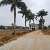 Bán Đất Sát Kcn Nhuận Trạch, Phân Lô Đượcdiện Tích1130M Liên Hệ: 0966746668