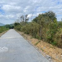 Bán Đất 29.954M2, 950 Nghìn / M2 Tại Xã Diên Đồng, Diên Khánh, Khánh Hòa